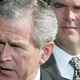 Illustration for article titled Great Plan: George W. Bush Is Going to Campaign for Jeb!